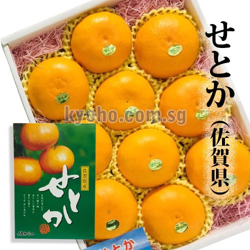 SINGAPORE'S FIRST LUXURY JAPANESE SEASONAL FRESH FRUIT BOUTIQUE 